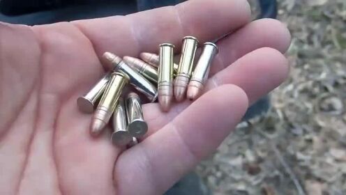 小口径步枪点22弹药供弹射击,百米距离杀伤力不容小觑!