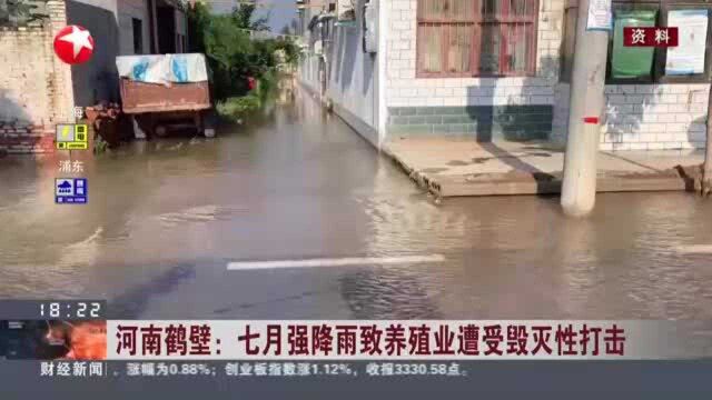 河南鹤壁:7月强降雨致养殖业遭受毁灭性打击