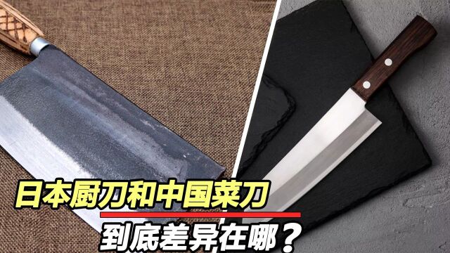 中国菜刀与日本厨刀有何区别?日本厨师的刀是用什么钢打造的?#知识ˆ’知识抢先知#