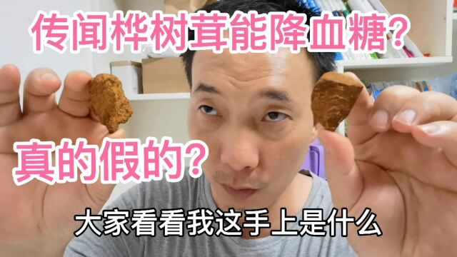 桦树茸真的能降血糖吗?糖人喝一杯,喝前血糖10.0,看喝后多少?