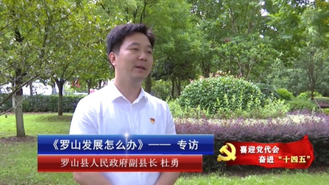 罗山发展怎么办专访罗山县人民政府副县长杜勇02