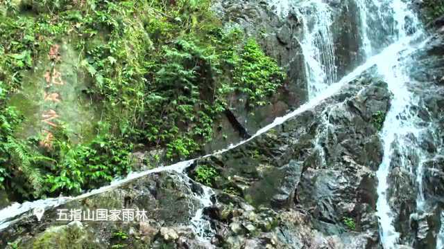 瞰海南 | 飞阅五指山:感受热带雨林生态之美