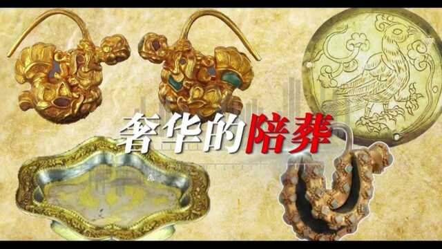 鬼吹灯奥古公主真的存在?专家揭秘内蒙古“千年凤棺”之谜#知识ˆ’知识抢先知#