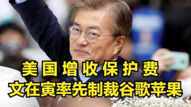 美国增收“保护费”,文在寅率先制裁美巨头,美塔或达成秘密协议