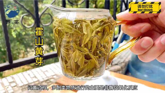 黄茶,中国六大茶类里最小众的成员.