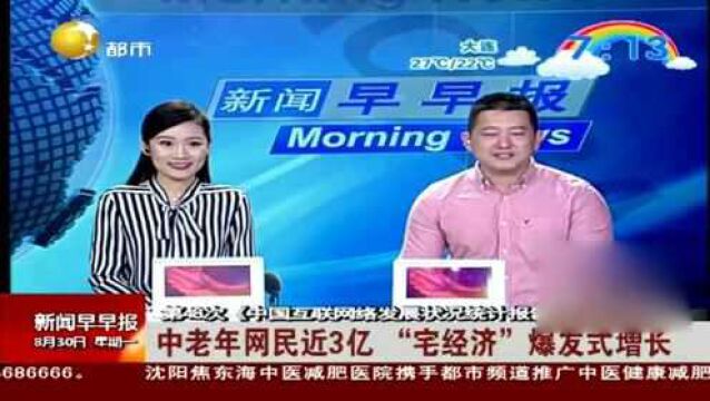 中老年网民近3亿“宅经济”爆发式增长