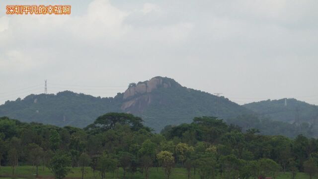 深圳石岩湿地公园正在扩建的部分,值得期待