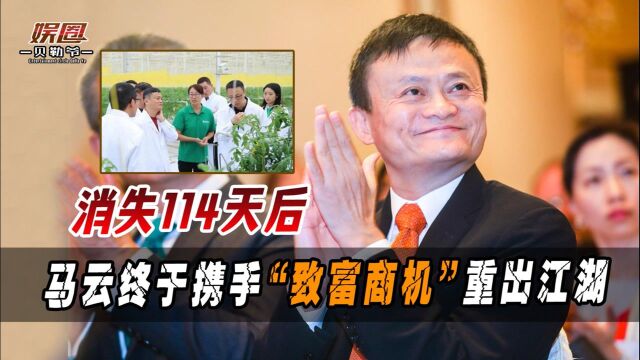 人民日报3次痛批阿里后!马云携“致富商机”复出!这次阿里又要崛起