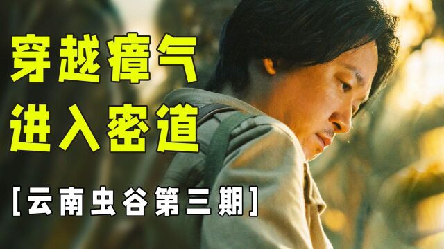 毒瘴!潘粤明高能破解蟾蜍机关【云南虫谷第3期】 #《云南虫谷》短视频大赛#