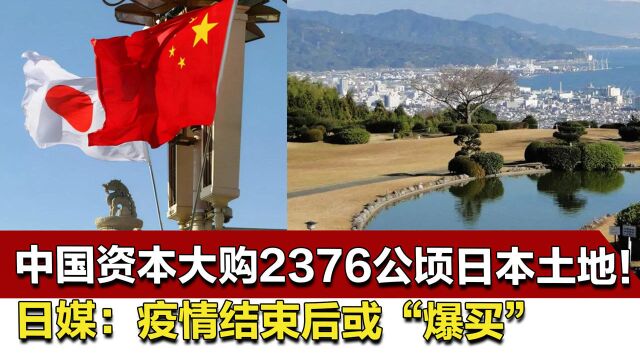 中国资本大购2376公顷日本土地!日媒:疫情结束后或“爆买”