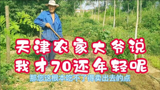 天津大爷住着农家大院,门前800平菜园果树,说自己才70很年轻!