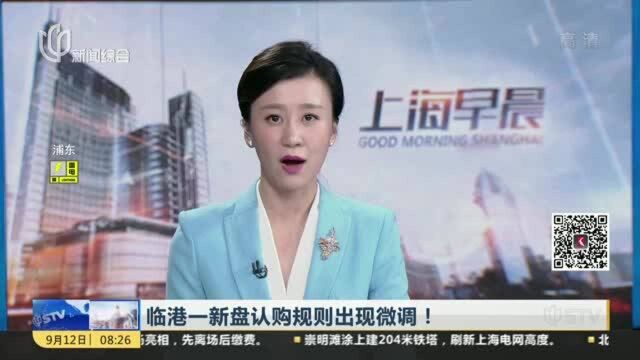 临港一新盘认购规则出现微调!