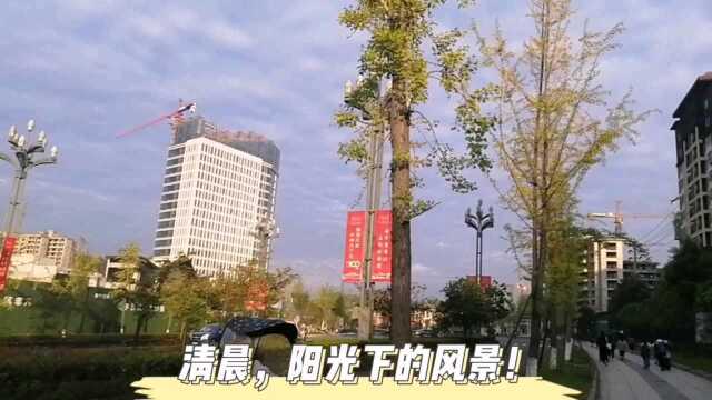 清晨,阳光下的风景!!!