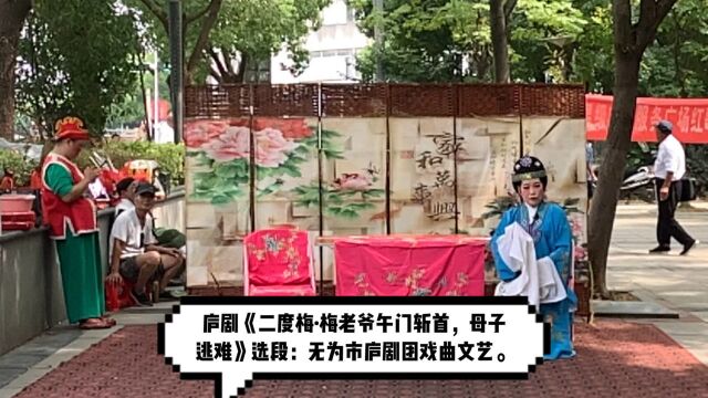 皖江庐剧《二度梅ⷦⅥ𚜦퐩€ƒ难》选段:无为市庐剧团戏曲表演文艺.