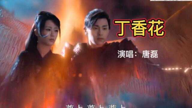 唐磊的经典之作《丁香花》完整版!#一起看剧吧 #音乐