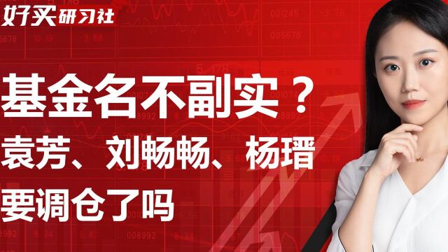 文体基金却不投文体!刘畅畅、袁芳、杨缙的基金还能拿吗?