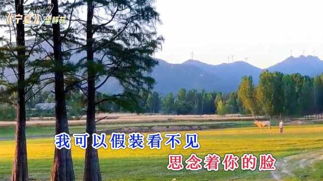 经典流行金曲——梁静茹《宁夏》,很有青春旋律的一首歌