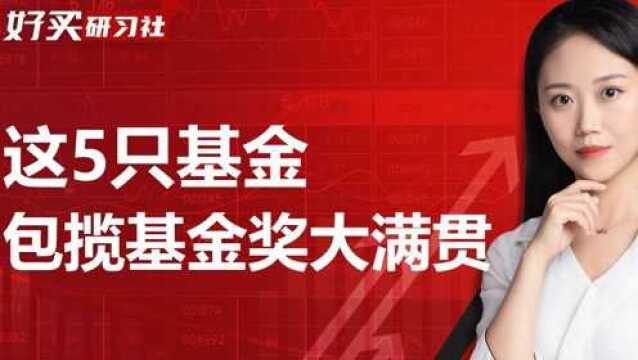 同时上榜今年基金界三大奖项的基金,只有这5只!跟吗?