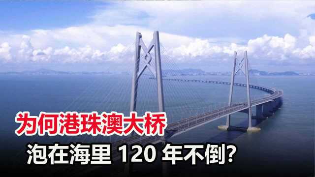 港珠澳大桥常年泡海里,凭啥有120年寿命?原来设计师早有“预谋”