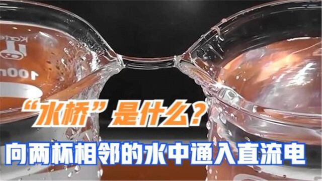 “水桥”是什么?向两杯相邻的水中通入直流电,有趣的现象发生了