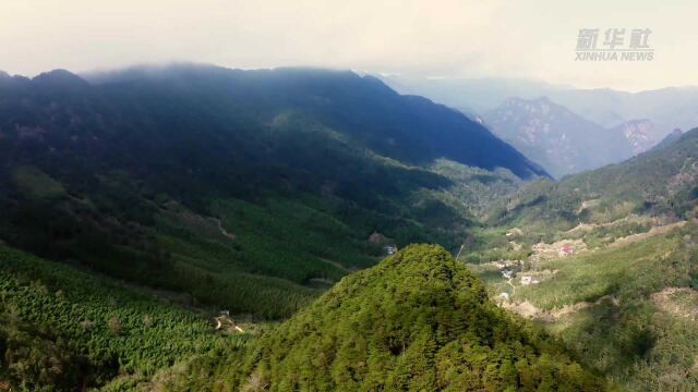 第一批国家公园来了,邀您打卡@武夷山国家公园