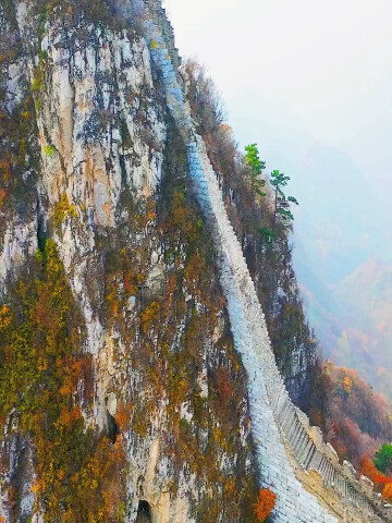 鹰飞倒仰修缮后照片图片