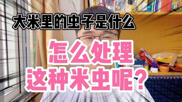 大米里的米虫真的太膈应人了.怎么处理能快速杀虫还安全?听听帅小伙怎么说