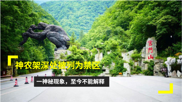 神农架深处被列为禁区?一神秘现象,至今不能解释