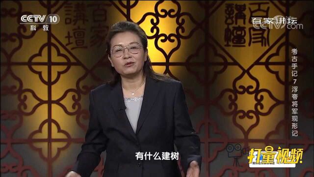 陆丑被拜冠军将军和中散大夫,原因竟是迎奉孝武帝入关