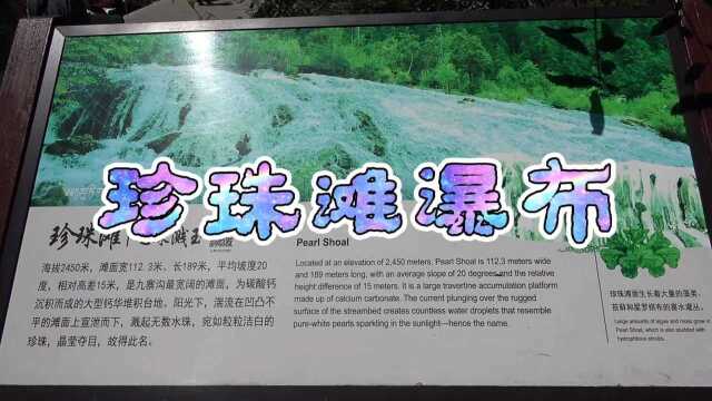 九寨沟珍珠滩瀑布,86版《西游记》片头取景的地方,能不漂亮吗?