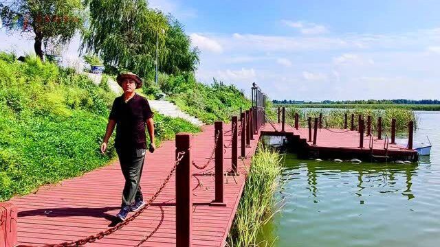 新立国家湿地,不只有秋波荡漾美景,稻田溜达蟹更引人口水直流