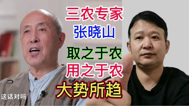 三农专家张晓山:取之于农用之于农,振兴乡村大势所趋