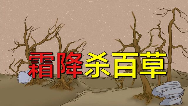 霜降降至,俗语“霜打的青菜分外甜”是啥意思,有道理吗?