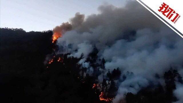 西藏林芝发生森林火灾 300余人正在现场救援