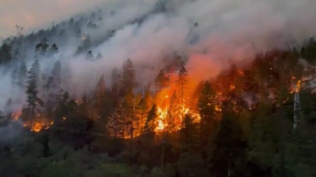 西藏林芝森林火灾正在救援:安全转移49人,已做好人工降雨准备