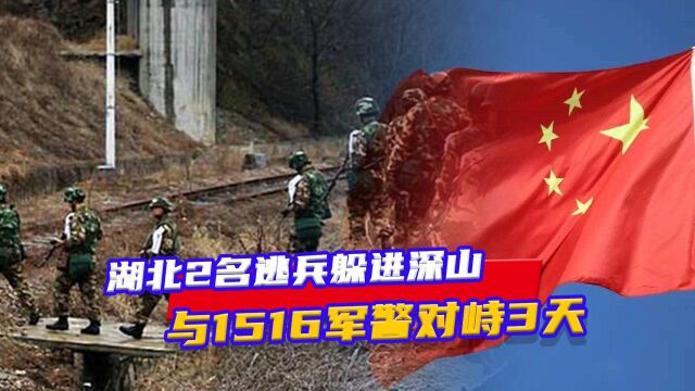 1988年,湖北2名逃兵躲进深山,与1516军警对峙3天,终被活活烧死