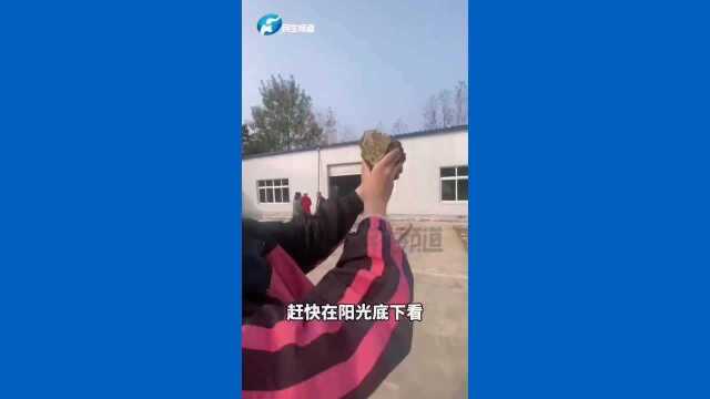 全网都在河南找金子,桐柏县发现特大型金矿,记者零距离接触兴奋不已