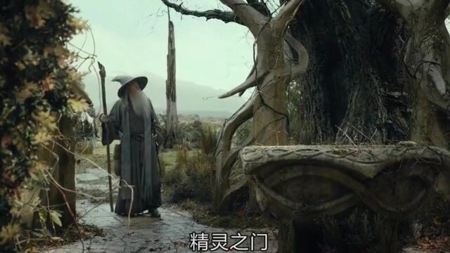 霍比特人2:恐惧!霍比特人穿越幽暗密林,看到的这一幕令人震惊