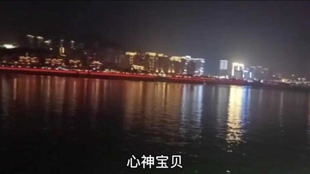 带你走进万洲湿地公园城市