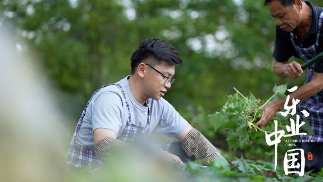 《走近养猪现场》深入了解养猪的每个环节