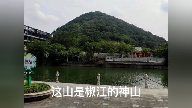 浙江台州:有个小区,位置很好,一套房要上千万#趣打卡计划