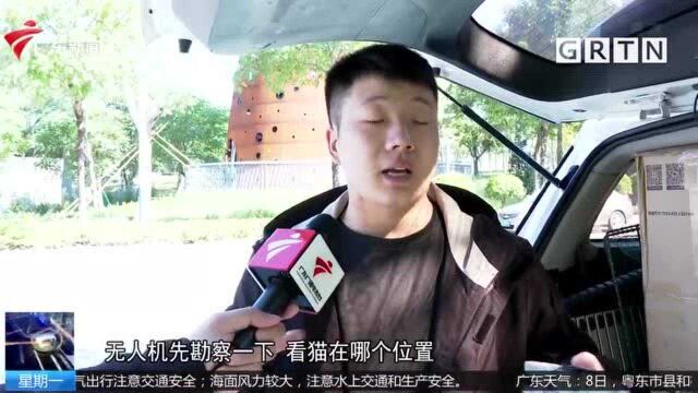 广州 广州新兴职业 “寻猫侦探”助主人宠物重逢