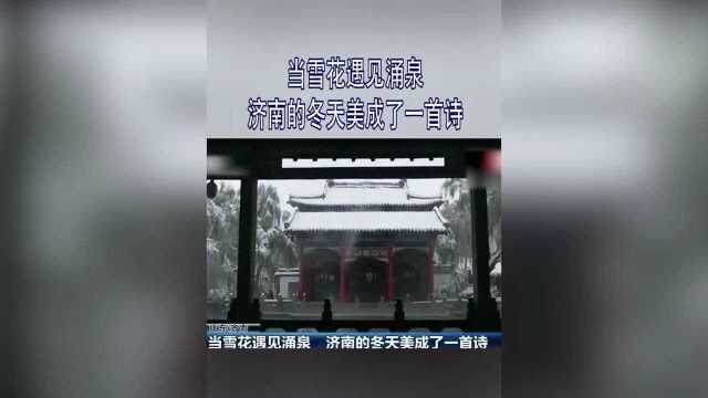 当雪花遇见涌泉 济南的冬天美成了一首诗 雨雾润蒸胜景再现