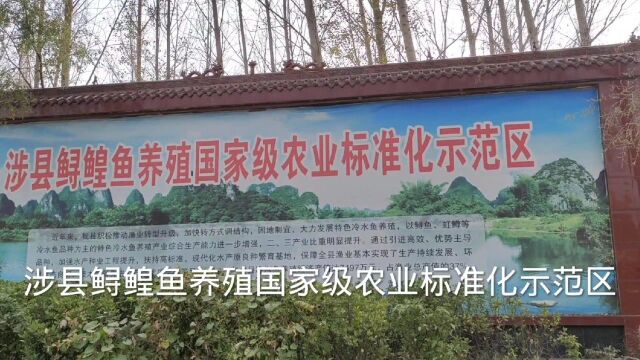 实拍涉县鲟鳇鱼养殖国家级农业标准化示范区,规模之大,值得一游