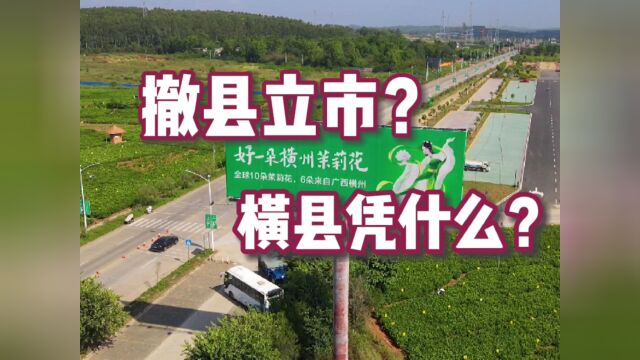 南宁横县摇身一变广西横州市,凭的是什么?是茉莉花吗?