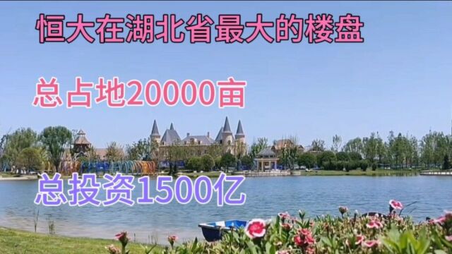 武汉恒大疯了吗?投资1500亿的超级大盘,占地2万亩,却4000一平