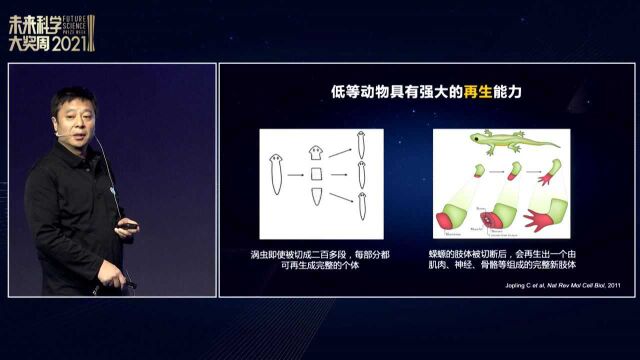 北京大学博雅讲席教授邓宏魁:化学重编程:细胞命运调控的新方法