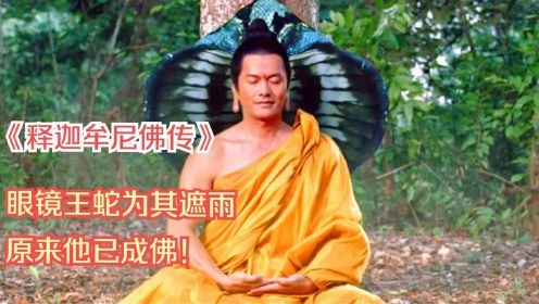 一部还原佛祖的电影，释迦摩尼菩提树下成佛，眼镜蛇赶来为他遮雨