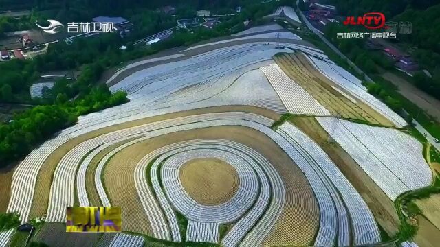 白山建设践行“两山”理念试验区 走出生态优先绿色发展新路