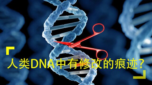 人类竟是被设计出来的?DNA中有修改的痕迹?科学家已确认